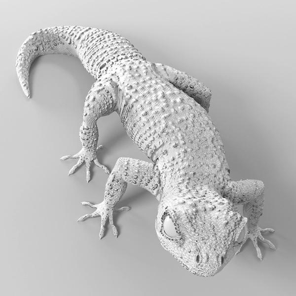 gecko leopard 3d model