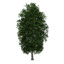 volume 34 trees iv 3d max