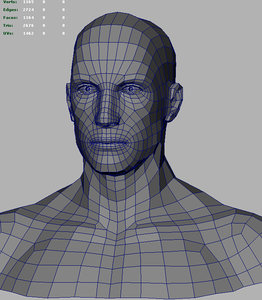 3d model human head