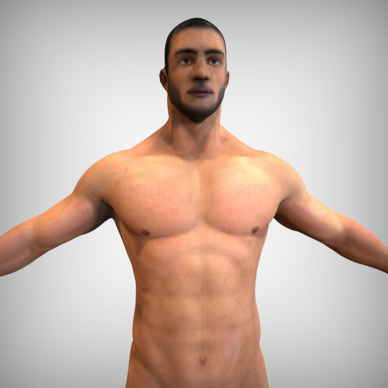 3d model body reference