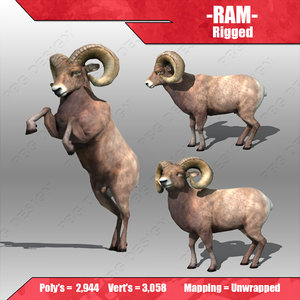3d ram model
