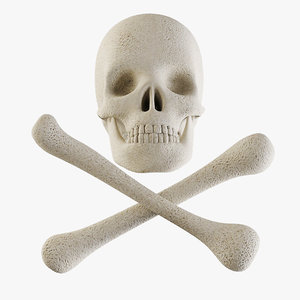3d model skull crossbones