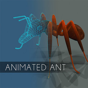 3d ant insect