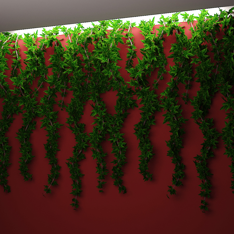 3d model wall hanging plant