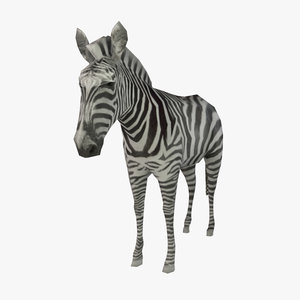 max zebra