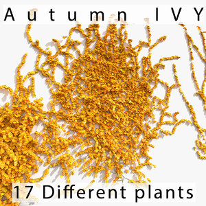 3d model colour ivy