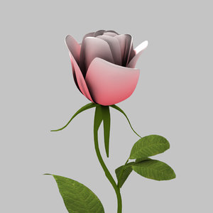 3d model of pink rose
