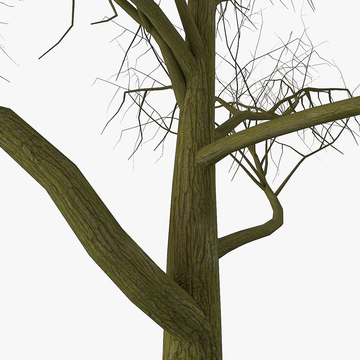 Tree Branches 3 3d Model