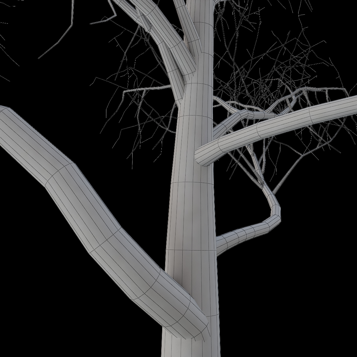 Tree Branches 3 3d Model