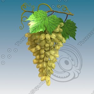 green grape cluster 3d model