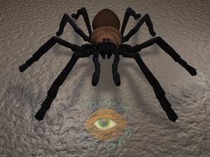 3d tarantula spider model