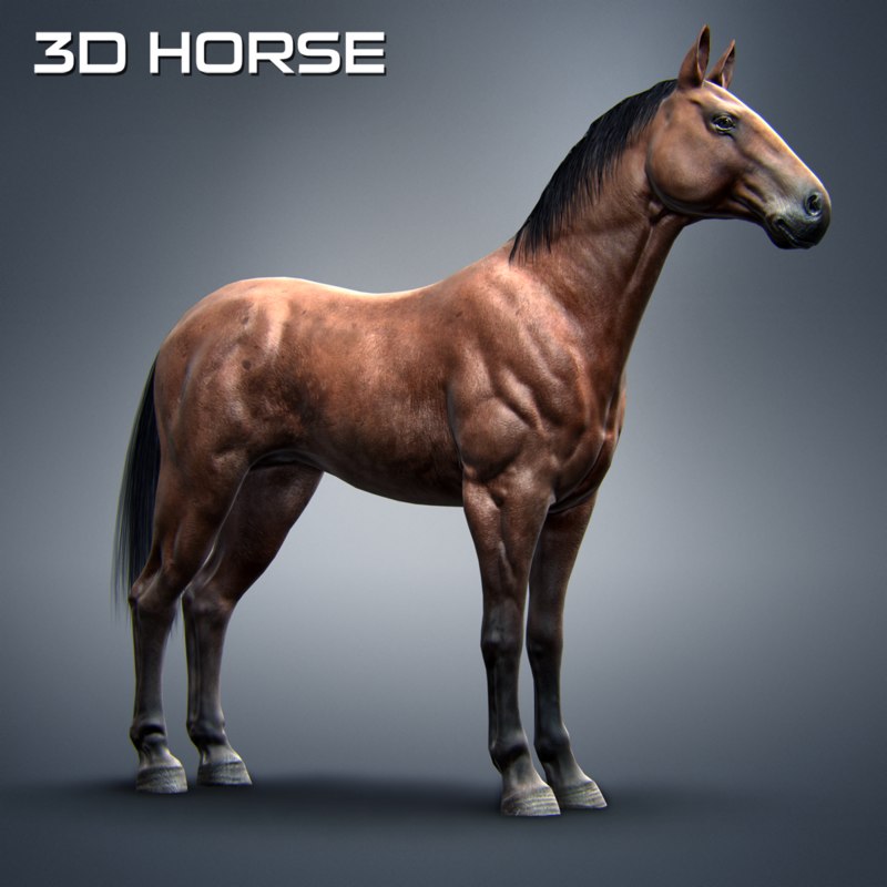 download 3d horse model in photoshop