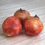 fruits pomegranate 3ds