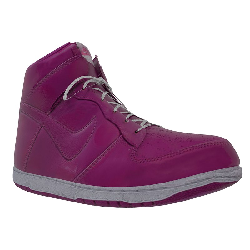 nike dunk all models