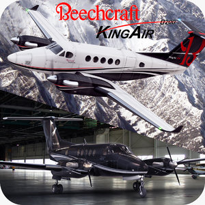 max beechcraft king air 250
