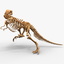 dinosaur t-rex bones skeleton lwo