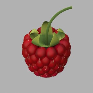 raspberry berry 3d model