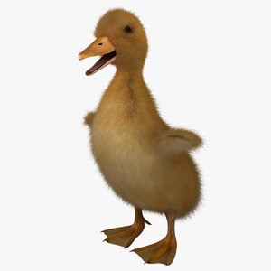 3ds max duckling pose 1