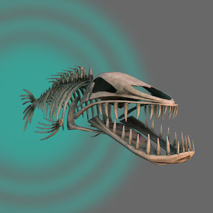 fish skeleton max