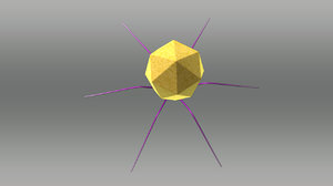 bacteriophage 3d model