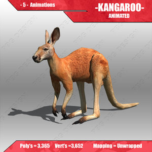 3d kangaroo animations model