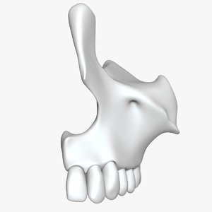 maxilla teeth obj