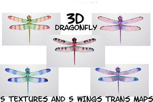 dragonfly fly obj
