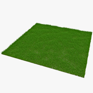 grass outdoor modelled 3d model