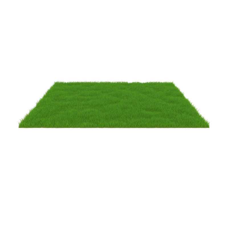 3d Rectangular Grass Patch