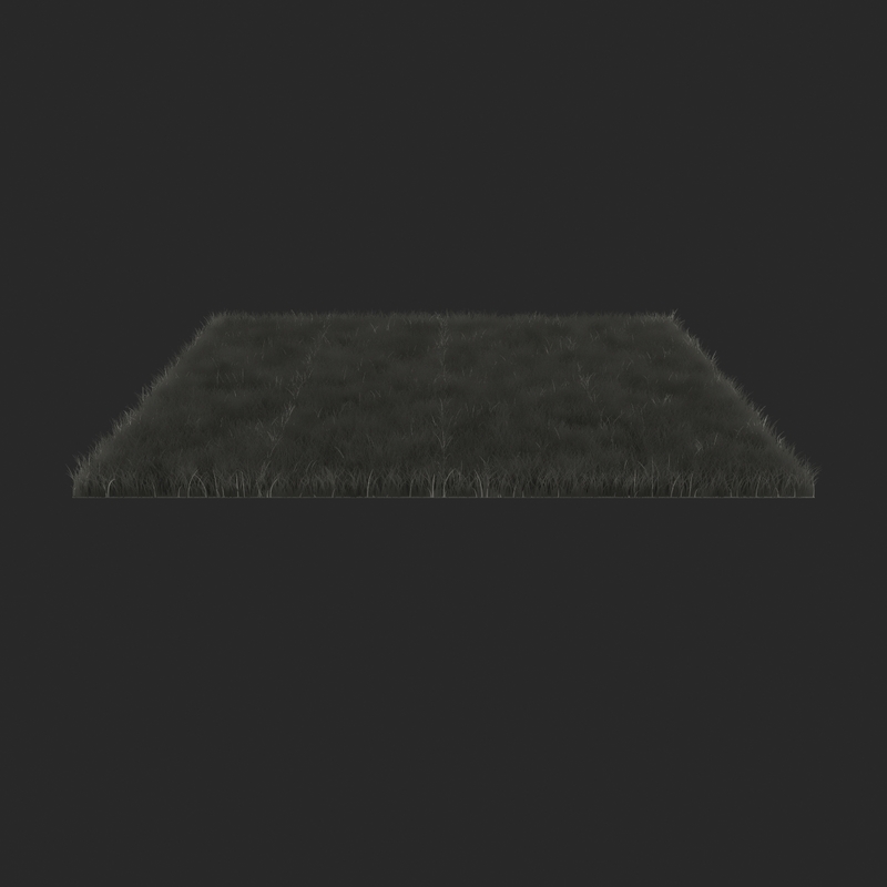 3d Rectangular Grass Patch