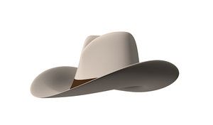 cowboy hat 3d model