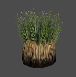 grass swamp max