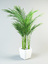 palm pot 3d