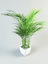 palm pot 3d
