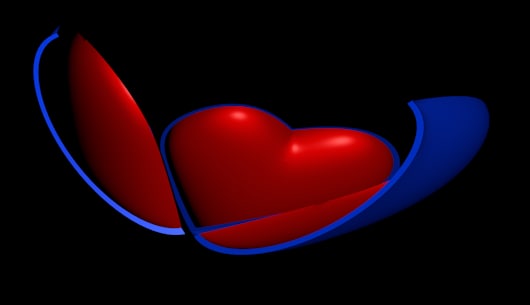 heart shell 3d model