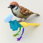 3d model sparrow