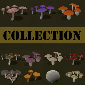 3d cartoon fungus mushroom boletus model
