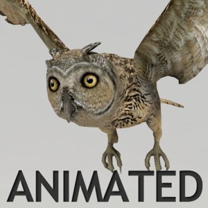 3d rigged owl model