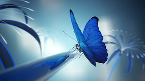 Butterfly 3D Models for Download | TurboSquid