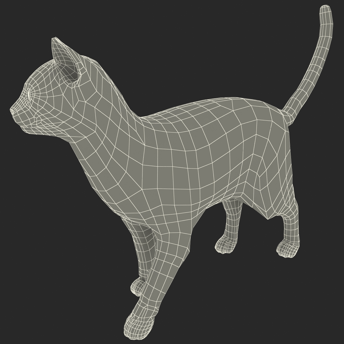 暹罗猫姿势53d模型