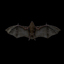 3d model rigged bat animations