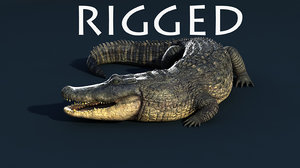 alligator rigged max