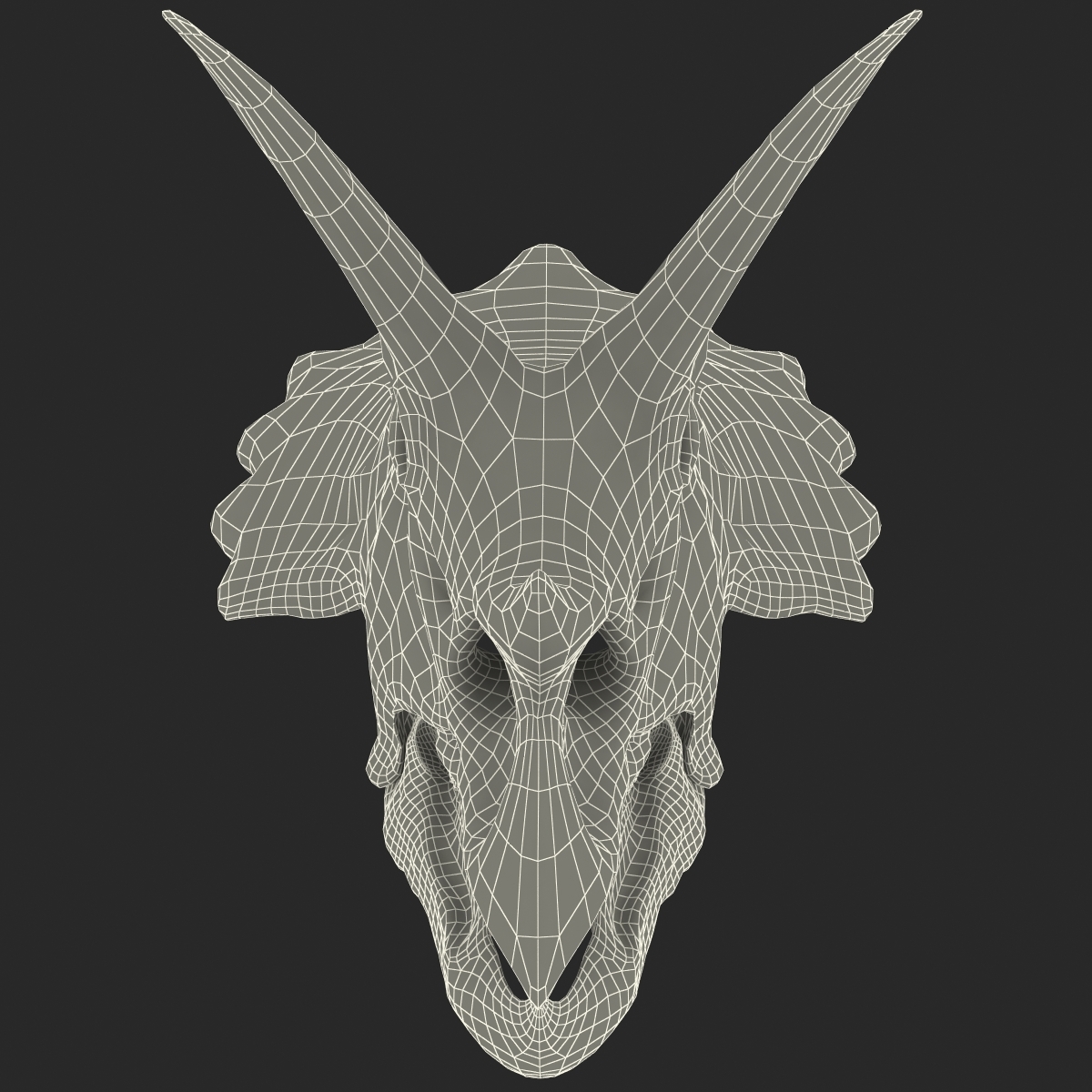 triceratops skull fossil