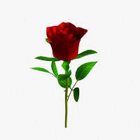 free obj model rose lightwave petal