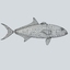 3d fishing amberjack barracuda