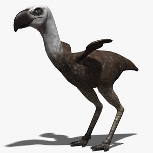 max phorusrhacos bird