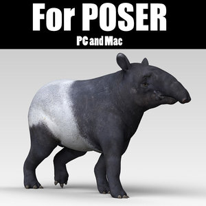 tapir poser 3d pz3