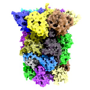 c4d 20s proteasome protein