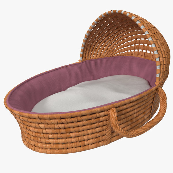 hooded moses basket