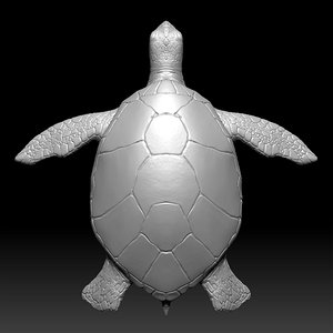 3ds sea turtle zbrush